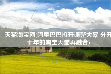天猫淘宝网(阿里巴巴拉开调整大幕 分开十年的淘宝天猫再融合)