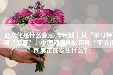 亚文化是什么意思(半月谈｜从“杀马特”到“鬼畜”，中国网络的数百种“亚文化”圈层正在发生什么？)