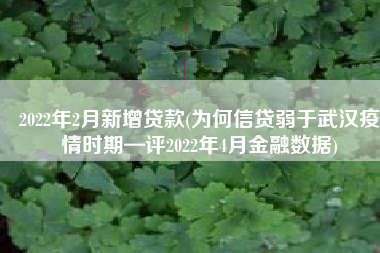 2022年2月新增贷款(为何信贷弱于武汉疫情时期—评2022年4月金融数据)
