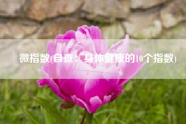 微指数(自查：身体健康的10个指数)
