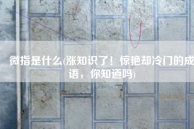 微指是什么(涨知识了！惊艳却冷门的成语，你知道吗)