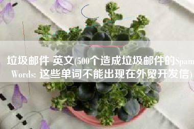 垃圾邮件 英文(500个造成垃圾邮件的Spam Words: 这些单词不能出现在外贸开发信)
