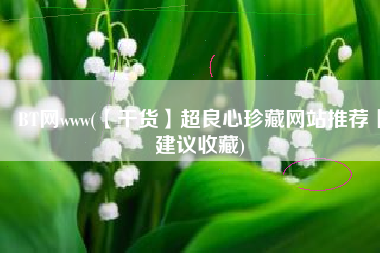 BT网www(【干货】超良心珍藏网站推荐丨建议收藏)