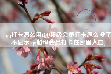 qq打卡怎么用(QQ超级会员打卡怎么没了不显示 qq超级会员打卡在哪里入口)