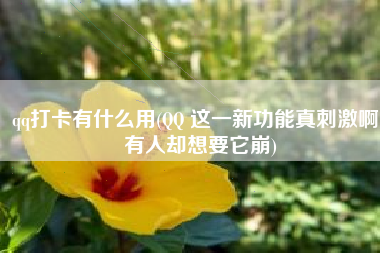 qq打卡有什么用(QQ 这一新功能真刺激啊，有人却想要它崩)