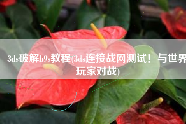 3ds破解b9s教程(3ds连接战网测试！与世界玩家对战)