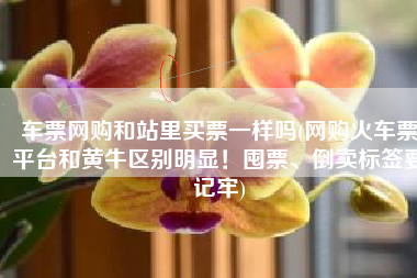 车票网购和站里买票一样吗(网购火车票平台和黄牛区别明显！囤票、倒卖标签要记牢)