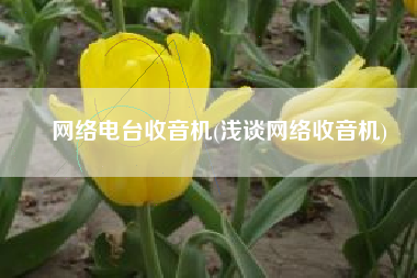 网络电台收音机(浅谈网络收音机)
