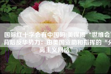 国际红十字会有中国吗(美媒揭“世维会”背后反华势力：由美国资助和指挥的“分离主义网络”)