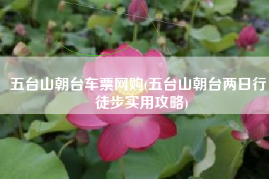 五台山朝台车票网购(五台山朝台两日行：徒步实用攻略)