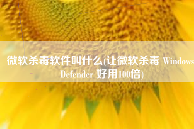 微软杀毒软件叫什么(让微软杀毒 Windows Defender 好用100倍)