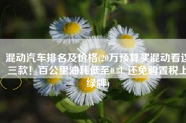 混动汽车排名及价格(20万预算买混动看这三款！百公里油耗低至0.8L 还免购置税上绿牌)