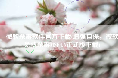 微软杀毒软件官方下载(增强自保，微软免费杀毒MSE4.6正式版下载)