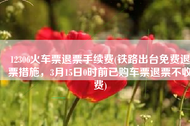 12306火车票退票手续费(铁路出台免费退票措施，3月15日0时前已购车票退票不收费)