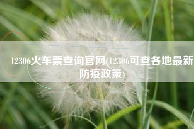12306火车票查询官网(12306可查各地最新防疫政策)