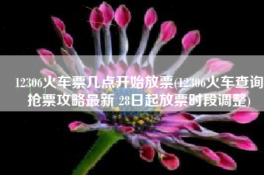 12306火车票几点开始放票(12306火车查询抢票攻略最新 28日起放票时段调整)
