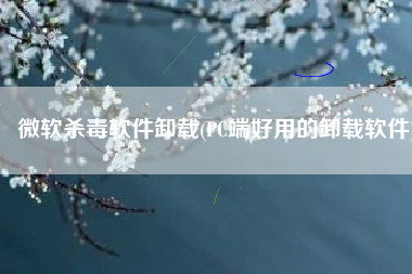 微软杀毒软件卸载(PC端好用的卸载软件)