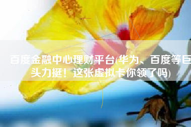 百度金融中心理财平台(华为、百度等巨头力挺！这张虚拟卡你领了吗)