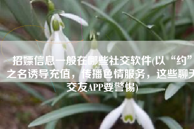 招嫖信息一般在哪些社交软件(以“约”之名诱导充值，传播色情服务，这些聊天交友APP要警惕)
