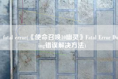 fatal error(《使命召唤10幽灵》Fatal Error During错误解决方法)