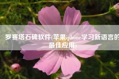 罗赛塔石碑软件(苹果iphone学习新语言的最佳应用)