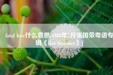 fatal love什么意思(1988年7月张国荣粤语专辑《Hot Summer》)