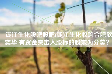 钱江生化股吧股吧(钱江生化收购合肥欣奕华 有资金突击入股标的股东为分羹？)