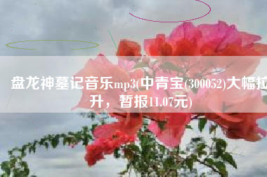 盘龙神墓记音乐mp3(中青宝(300052)大幅拉升，暂报11.07元)