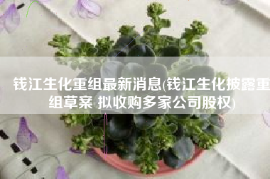 钱江生化重组最新消息(钱江生化披露重组草案 拟收购多家公司股权)