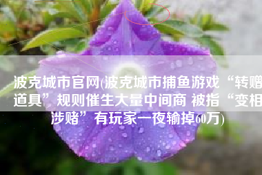 波克城市官网(波克城市捕鱼游戏“转赠道具”规则催生大量中间商 被指“变相涉赌”有玩家一夜输掉60万)