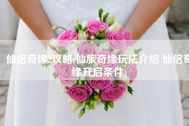 仙侣奇缘2攻略(仙旅奇缘玩法介绍 仙侣奇缘开启条件)
