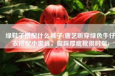 绿鞋子搭配什么裤子(唐艺昕穿绿色牛仔衣搭配小黑裤，脚踩厚底靴很时髦)