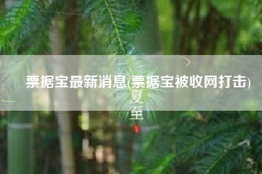 票据宝最新消息(票据宝被收网打击)