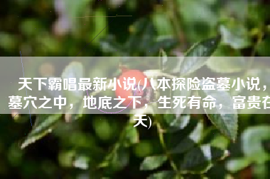 天下霸唱最新小说(八本探险盗墓小说，墓穴之中，地底之下，生死有命，富贵在天)
