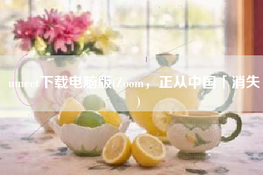 umeet下载电脑版(Zoom，正从中国「消失」)