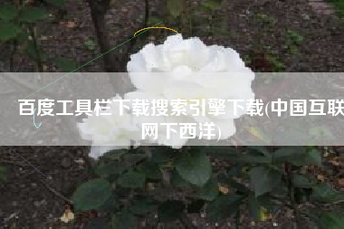 百度工具栏下载搜索引擎下载(中国互联网下西洋)