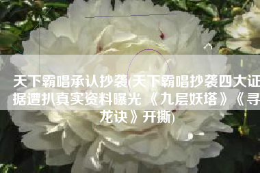 天下霸唱承认抄袭(天下霸唱抄袭四大证据遭扒真实资料曝光 《九层妖塔》《寻龙诀》开撕)