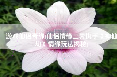游戏仙侣奇缘(仙侣情缘三界执手《神仙劫》情缘玩法揭秘)