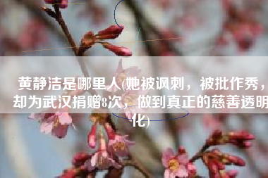 黄静洁是哪里人(她被讽刺，被批作秀，却为武汉捐赠8次，做到真正的慈善透明化)