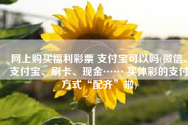 网上购买福利彩票 支付宝可以吗(微信、支付宝、刷卡、现金…… 买体彩的支付方式“配齐”啦)
