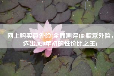 网上购买意外险(全面测评188款意外险，选出2020年初的性价比之王)
