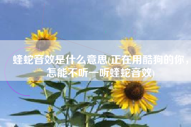 蝰蛇音效是什么意思(正在用酷狗的你，怎能不听一听蝰蛇音效)