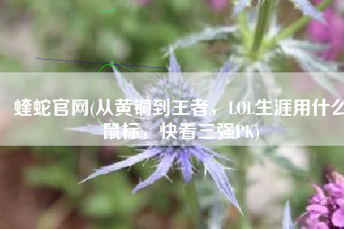 蝰蛇官网(从黄铜到王者，LOL生涯用什么鼠标，快看三强PK)