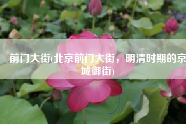 前门大街(北京前门大街，明清时期的京城御街)