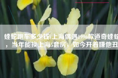 蝰蛇跑车多少钱(上海偶遇1996款道奇蝰蛇，当年能换上海5套房，如今开着嫌他丑)