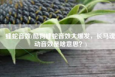 蝰蛇音效(酷狗蝰蛇音效大爆发，长马魂动音效是啥意思？)