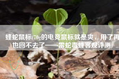 蝰蛇鼠标(70g的电竞鼠标就是爽，用了再也回不去了——雷蛇毒蝰客观评测)