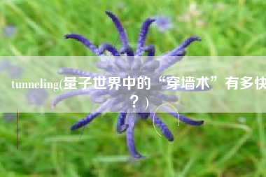 tunneling(量子世界中的“穿墙术”有多快？)