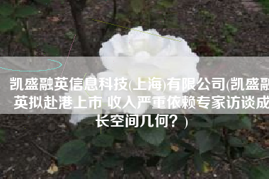 凯盛融英信息科技(上海)有限公司(凯盛融英拟赴港上市 收入严重依赖专家访谈成长空间几何？)