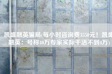 凯盛融英骗局(每小时咨询费3550元！凯盛融英：号称40万专家实际干活不到4万)